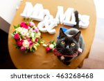 Black Cat At Wedding On The...