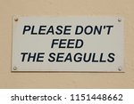 Small photo of Hartland Quay, Devon, UK - 5th August 2018: A warning sign against feeding seagulls. Seagulls are a brutish seaside nuisance in the UK.