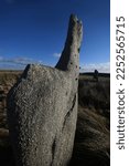 Small photo of A single stone of the Stipple Stones stone circle Bodmin Moor Cornwall