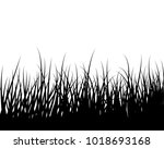 Grass Vector Illustration 