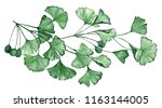 Ginkgo Biloba Known As The...