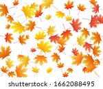 Maple Leaves Vector Background  ...