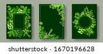 watercolor herb twigs  tree... | Shutterstock .eps vector #1670196628