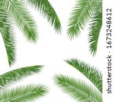 fropical palm leaves frame... | Shutterstock .eps vector #1673248612