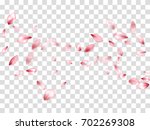 pink flower petal falling down... | Shutterstock .eps vector #702269308