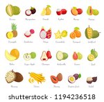 sugar apple and guava set... | Shutterstock .eps vector #1194236518