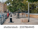 Small photo of London, UK - July 06, 2023: Rear view of women walking in St Katharine Docks, a former dock and now a mixed-used district and London's only marina in Central London.