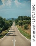 Small photo of Straight long road with lonely car through rural landscape and leafy trees, on sunny day near Castelo Branco. Friendly and important city, it was a former bishopric in the central region of Portugal.