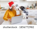 Dog And Woman Wearing Santa Hat ...