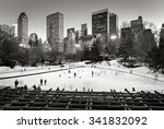 Central Park Winter Scene And...