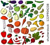hand drawn set of fruits ... | Shutterstock .eps vector #1229904238