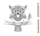 Owl Outline Free Stock Photo - Public Domain Pictures