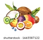 watercolor exotic tropical... | Shutterstock . vector #1665587122