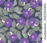 seamless pattern tropical... | Shutterstock .eps vector #2052501845