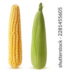Two ear of corn isolated on a...