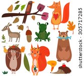 Vector Set Of Cute Woodland And ...