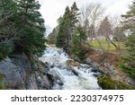 A raging river of white rapids and waterfalls with tall evergreen trees on both sides. The stream is enclosed by large boulders or rock formations with dead read leaves and moss covering greenery.  