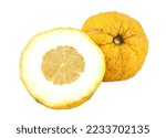 Citron fruit cut in two halves on white background. Its scientific name is Citrus medica.
