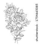 hand drawn rose flower and... | Shutterstock .eps vector #1754665085