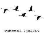 Silhouette Of Flying Flock Of...
