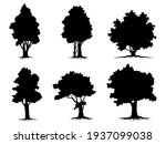 collection isolated tree symbol ... | Shutterstock .eps vector #1937099038