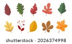 set leaves plant colorful... | Shutterstock .eps vector #2026374998