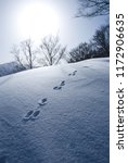 Small photo of Mt.Tanigawa, Matagi, footprints of snow, Niigata Prefecture