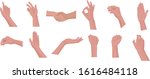 set of different gestures with... | Shutterstock .eps vector #1616484118