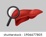 liver function analysis clipart.... | Shutterstock .eps vector #1906677805