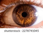 Macro detail of a human eye ...