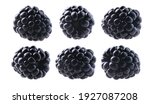 a set of blackberries. isolated ... | Shutterstock . vector #1927087208
