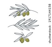 set of olive branches in a... | Shutterstock .eps vector #1917144158