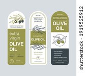 olive oil label set. design... | Shutterstock .eps vector #1919525912