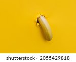 Small photo of A large banana curved downward through a torn hole in yellow paper. Tropical fruit, vegetarianism. Bright background with copy space.The concept of impotence, erectile dysfunction, joke.Half past five