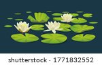 Water lilies. Vector cartoon illustration
