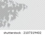 realistic shadow of  leaves ... | Shutterstock .eps vector #2107319402