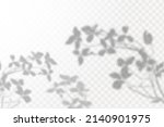 realistic shadow tropical... | Shutterstock .eps vector #2140901975