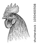 Rooster Head Portrait...