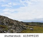 Moss Covered Rocky Hill In...