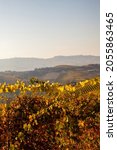  Panorama Of The Vineyards Of...