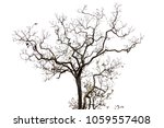isolated tree on white... | Shutterstock . vector #1059557408
