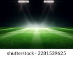 universal grass stadium illuminated by spotlights and empty green playground