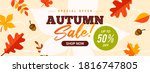 autumn sale  banner vector... | Shutterstock .eps vector #1816747805