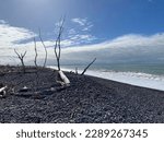 Small photo of An eerie tranquil image of Beach Slash post Cyclone Gabrielle taken from near Clive Hawkes Bay, New Zealand
