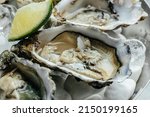 Fresh oysters with lime on a round plate. seafood dish. Oyster on the half shell. Restaurant menu, dieting, cookbook recipe.