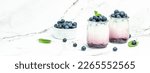 Small photo of yogurt and blueberries. Healthy breakfast. Super food healthy eating vegetarian vegan food. Long banner format.