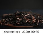 Small photo of Red earth worms used in vermicomposting and as fishing bait