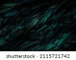 Small photo of abstract background of green dark feathers, rainbow green highlights on the plumage