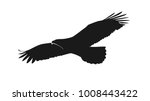 Eagle Illustration Symbol....
