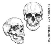 Skull Set  Skeleton Head...